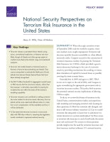 National Security Perspectives on Terrorism Risk Insurance in the United States