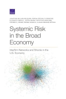 Systemic Risk in the Broad Economy: Interfirm Networks and Shocks in the U.S. Economy